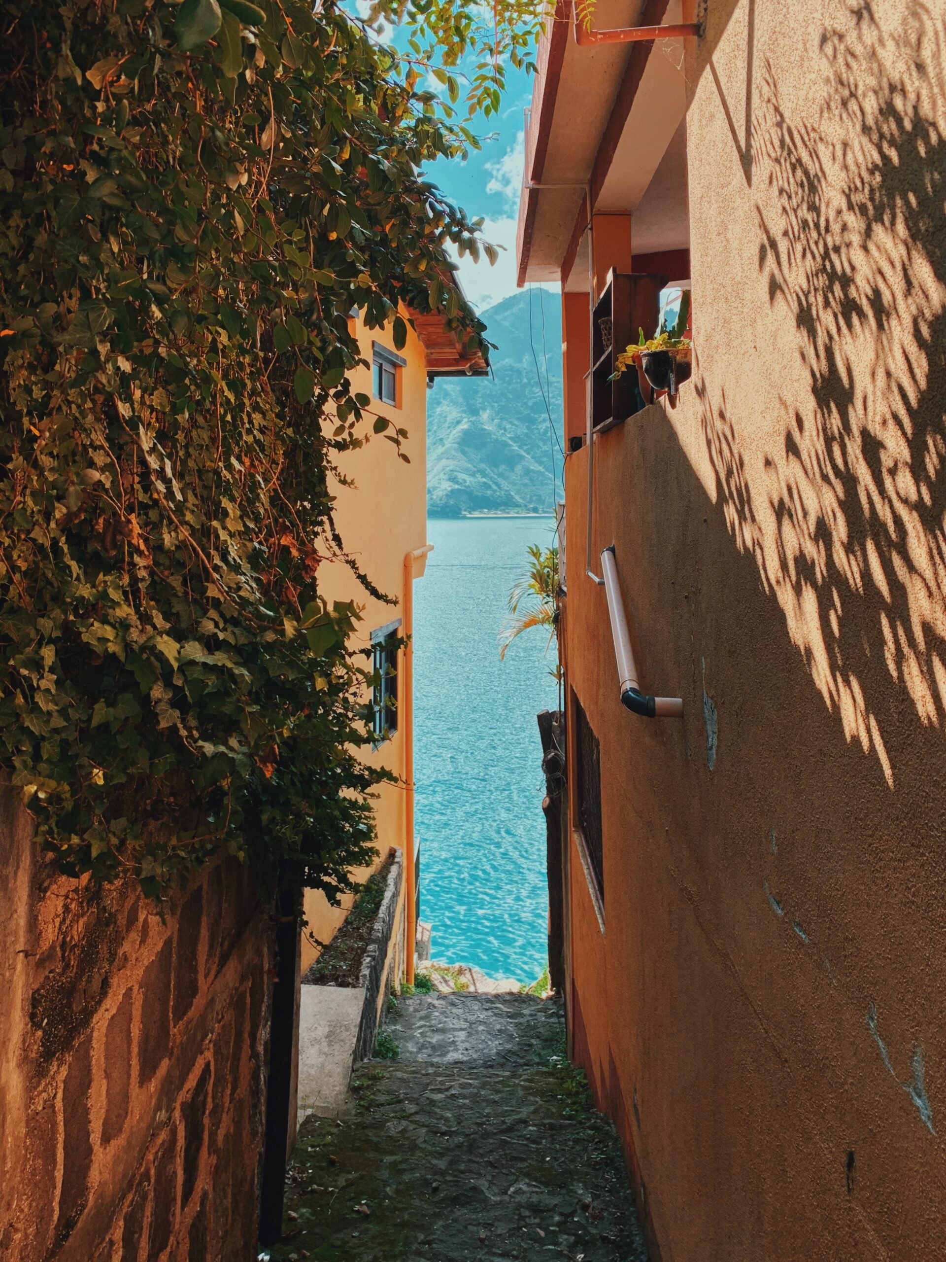 Тикальдағы ежелгі Майя пирамидалары