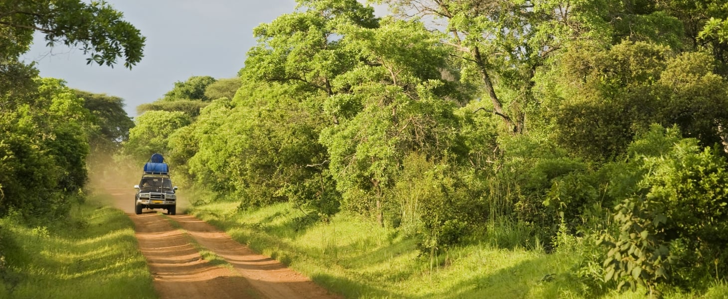 Конго ДР жолдары мен табиғаты