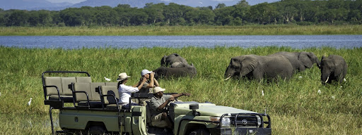 Малави жолдары: i-d-a.kz сарапшылық шолуы